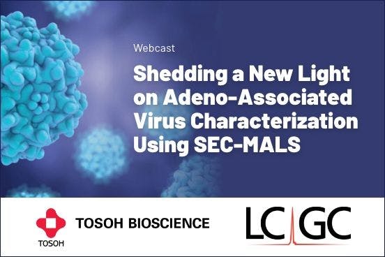 Shedding a New Light on Adeno-Associated Virus Characterization Using SEC-MALS