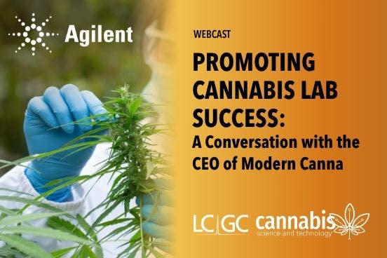 Promoting Cannabis Lab Success: A Conversation with the CEO of Modern Canna