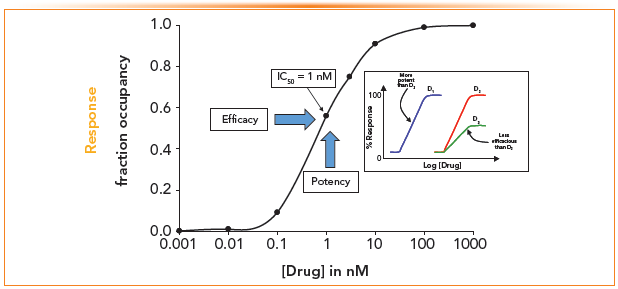 FIGURE 2: Response curves (fractional occupancy) vs. effective concentration. Inset: Log (drug) concentration vs. % Response curves for D1, D2, and D3.