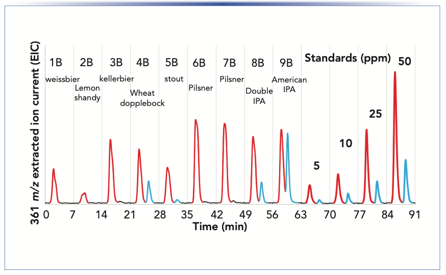 FIGURE 4: MISER LC–MS chromatogram of isohumulones IAA (red) and humulones AA (blue) using SIM at 361 m/z of craft beer samples. For chromatographic conditions: see Figure 2 caption.