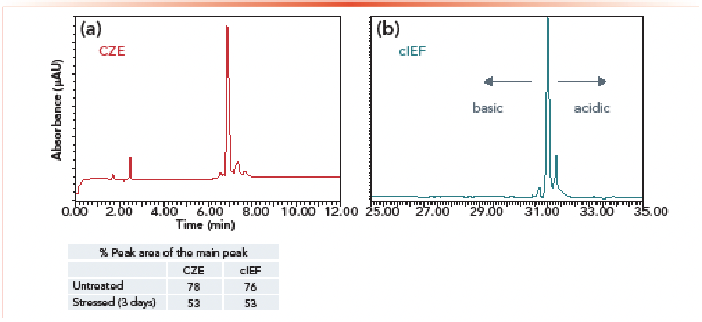 Figure 4: This figure shows (a) CZE vs. (b) cIEF quantification of the forced deamidation of emicizumab.