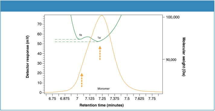 Figure 7: Molecular weight profile of the monomer peak for Sample 2.