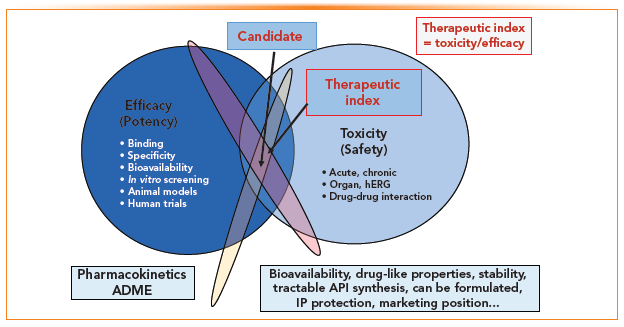 FIGURE 3: Principles in candidate selection are guided by testing for efficacy while minimizing toxicity. Other factors such as PK, bioavailability, and IP also play important roles.