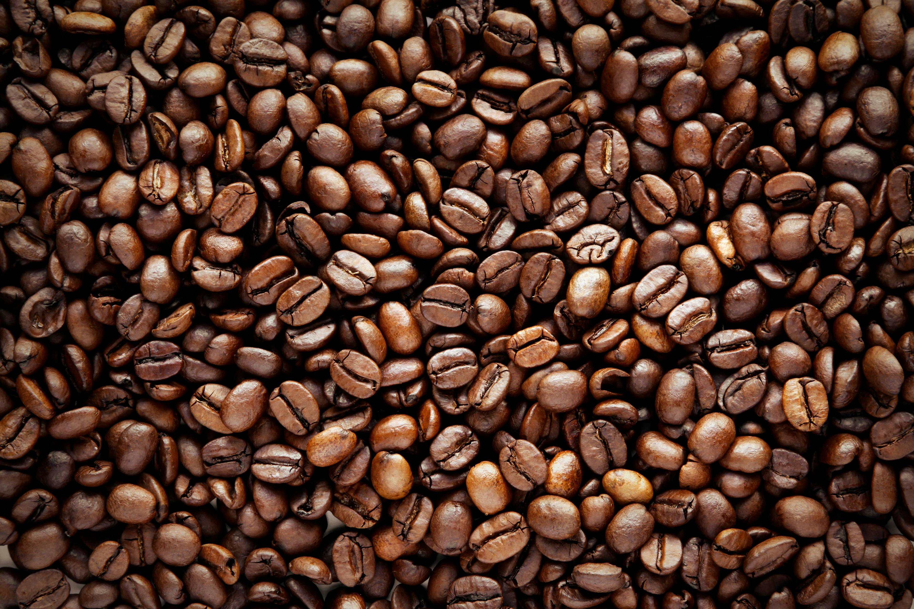 Close close-up of roasted coffee beans | Image Credit: © Stillfx - stock.adobe.com