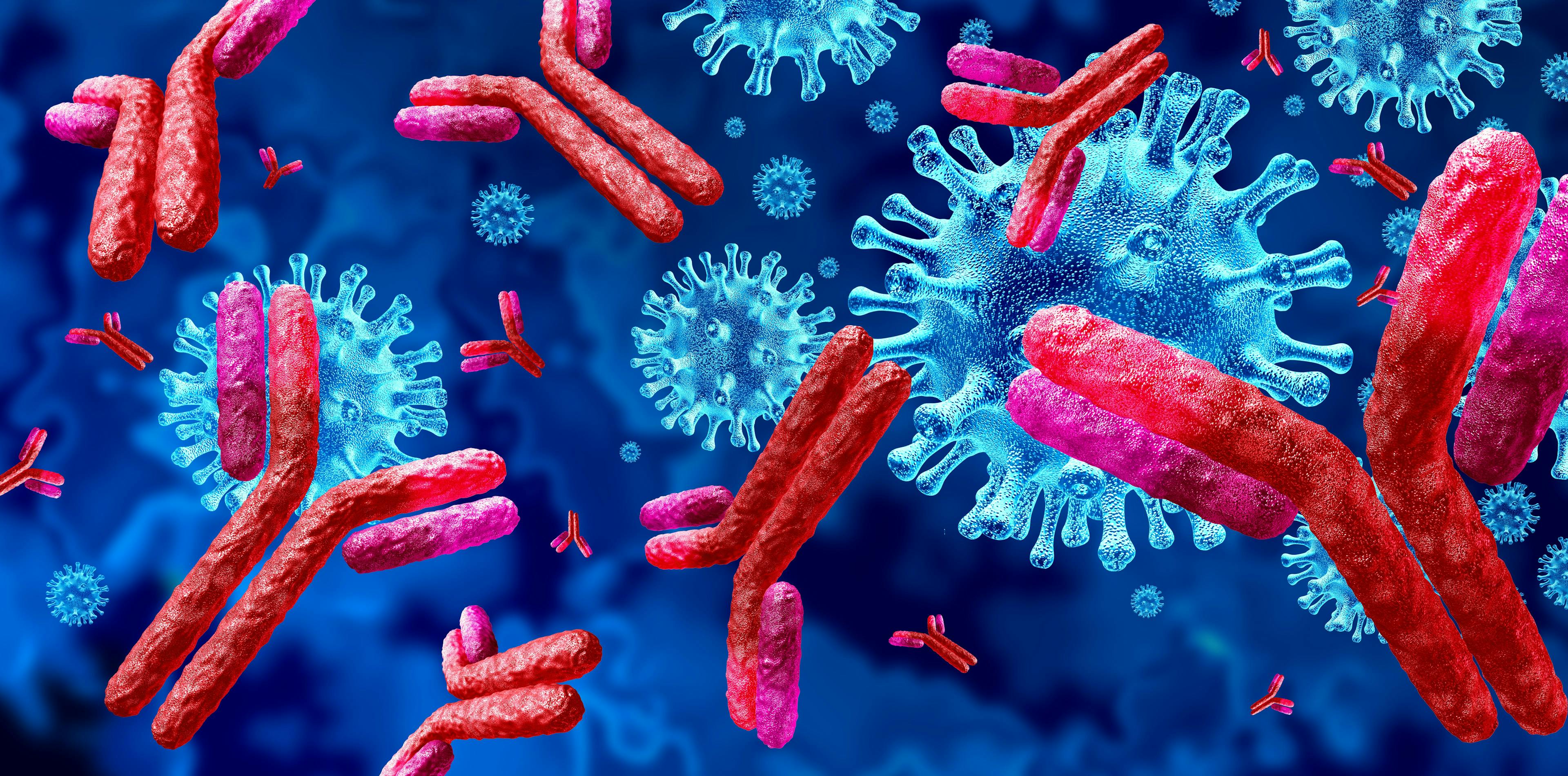 Antibody Immunoglobulin | Image Credit: © freshidea - stock.adobe.com