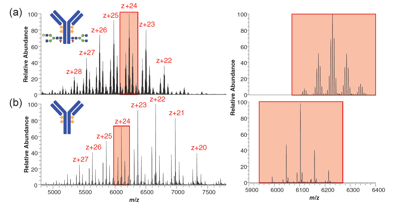 Exploring Capillary  Electrophoresis–Mass Spectrometry for the In-Depth Intact Native Analysis of Cysteine-Conjugated Antibody-Drug Conjugates