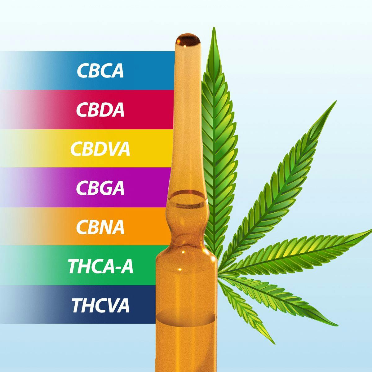 Cannabis acids standard
