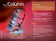 The Column-02-18-2013