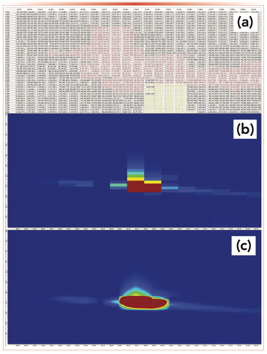 FIGURE 3: Illustration of a group of pixels highlighted in red, containing the intensity information of (a) the peak of the analyte. The corresponding peak is shown in the reconstructed GC×GC chromatogram (b) without interpolation and (c) with linear interpolation (such as traditional method for data visualization).