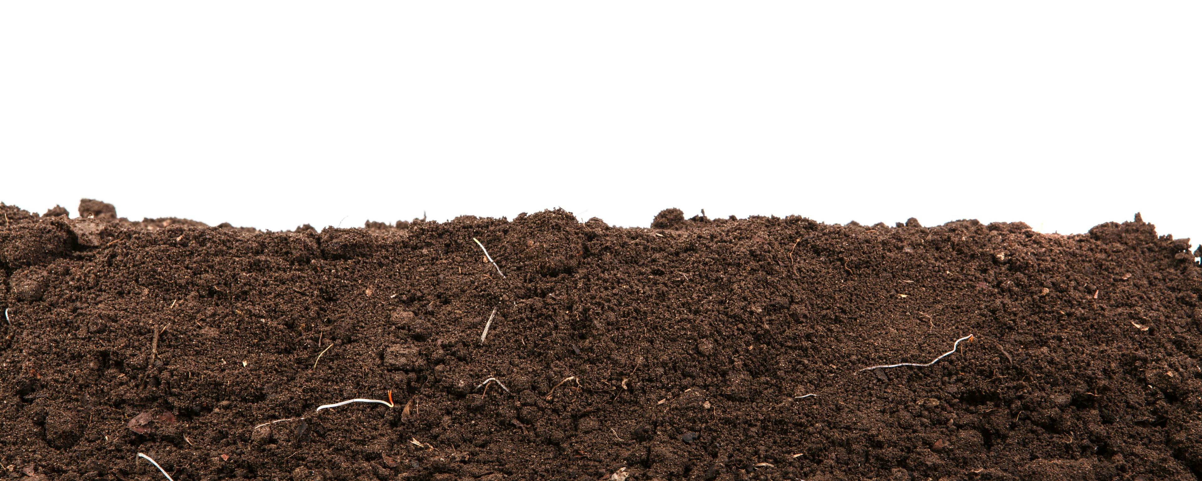 Handful of dark brown soil isolated on white background | Image Credit: © toomler - stock.adobe.com