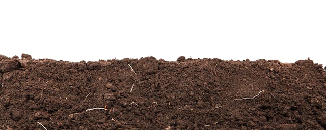 Handful of dark brown soil isolated on white background | Image Credit: © toomler - stock.adobe.com