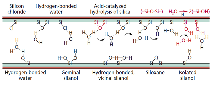 Figure 3: Various impurities and the formation of surface silanol species via hydrolysis on the inner silica surface of the drawn capillary (reproduced with permission from reference 2).