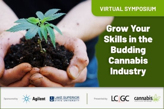 Grow Your Skills in the Budding Cannabis Industry