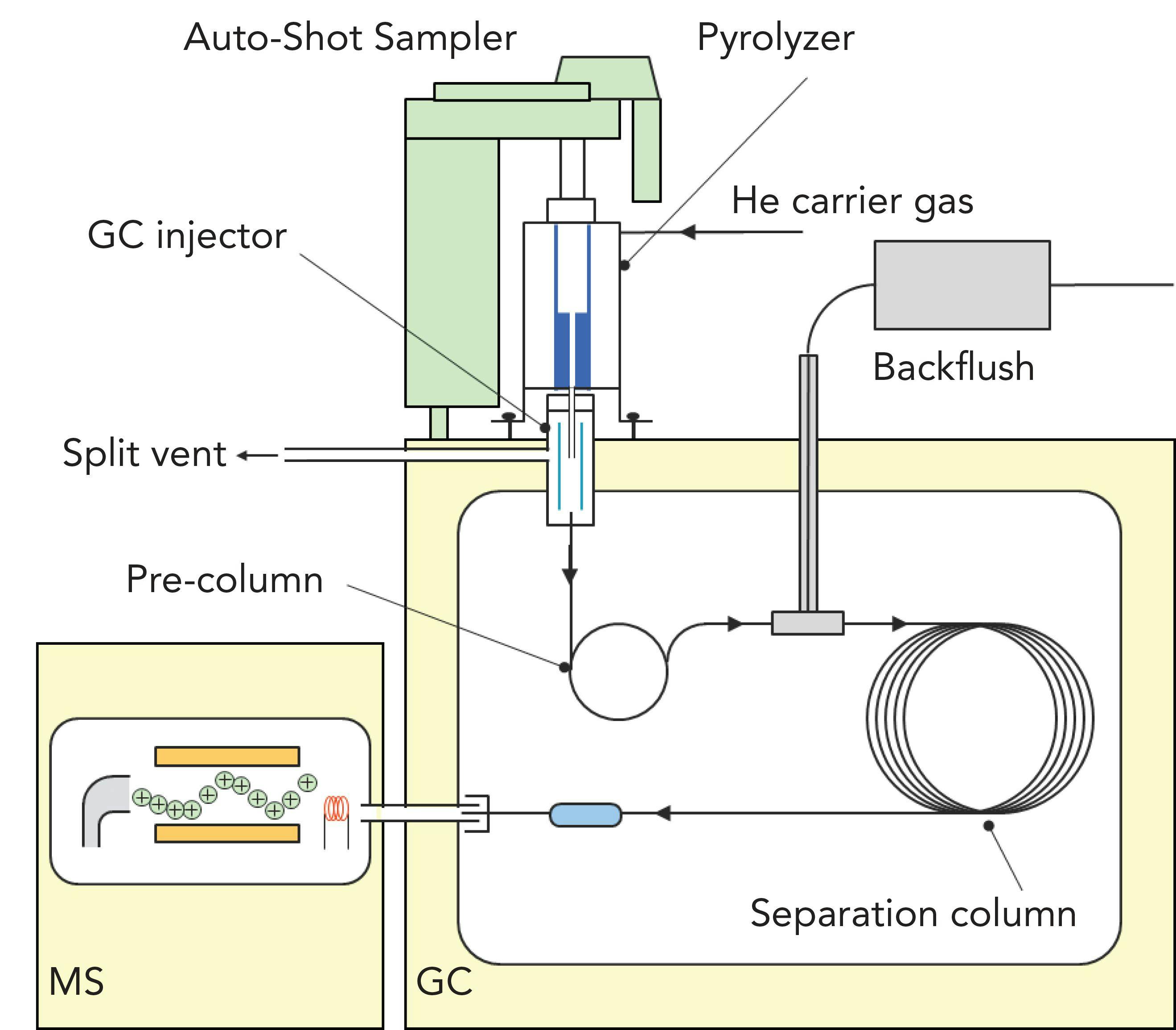 FIGURE 5: Pyrolysis-GC–MS system configuration using a microfurnace pyrolyzer.
